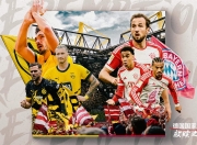 爱游戏在线-波兰队险胜德国队，波尔刷新纪录