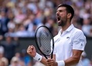 爱游戏官网-年终总决赛力克法网，德约科维奇扛起全队