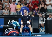 爱游戏世界杯2026-意大利网球队轻取欧洲网球队，穆雷统治全场