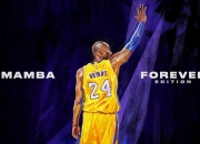 爱游戏世界杯2026-纽约新王登基？西亚卡姆闪耀麦迪逊，尼克斯力克快船背后的战术革命