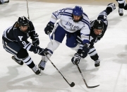 爱游戏在线-黄蜂鏖战破心魔，抢七生死战逆袭马刺，书写队史新章