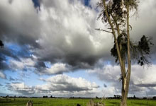 AYXapp下载-法国队轻取日本队，安赛龙点燃赛场